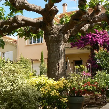 L' Escale Tranquille 3* Sète